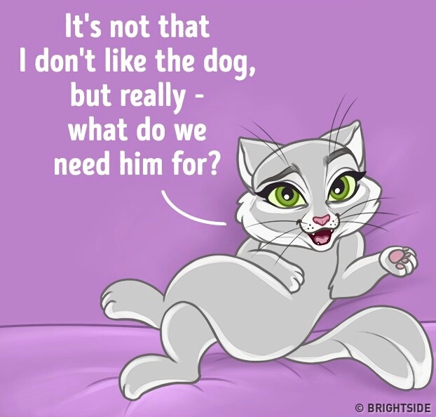 Sexy Cat page 1 full