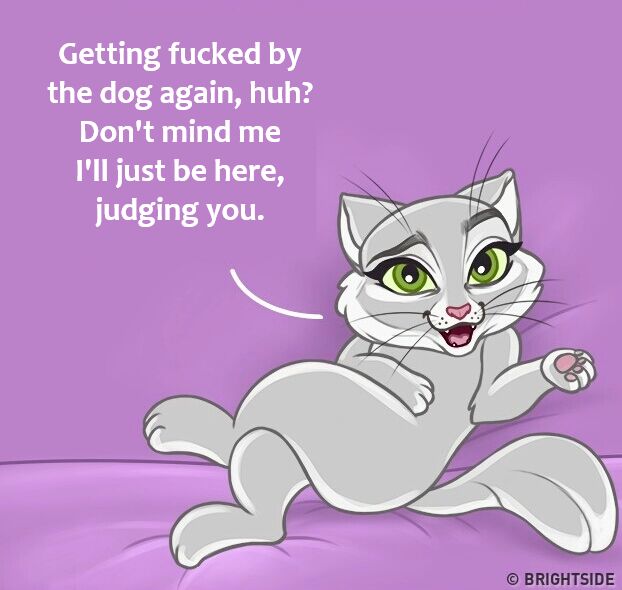 Sexy Cat page 2 full