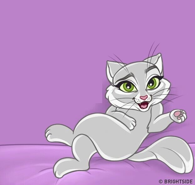 Sexy Cat page 6 full