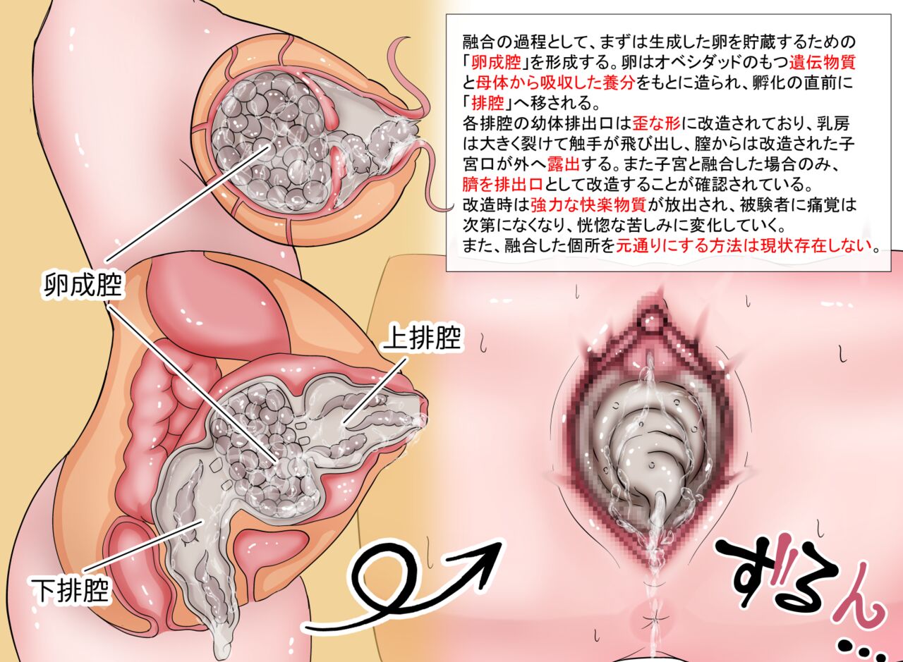 蟲研究レポートEX_No.03 page 4 full