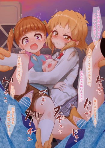Hibiki Noise Rape cover