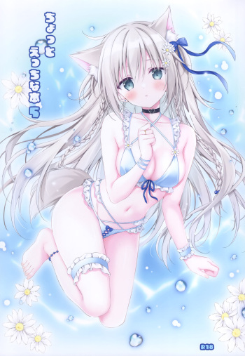 Chotto Ecchi na Hon 5 cover
