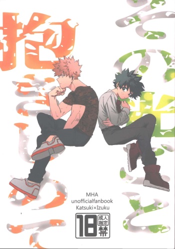 Sono Hikari goto Dakishimete cover
