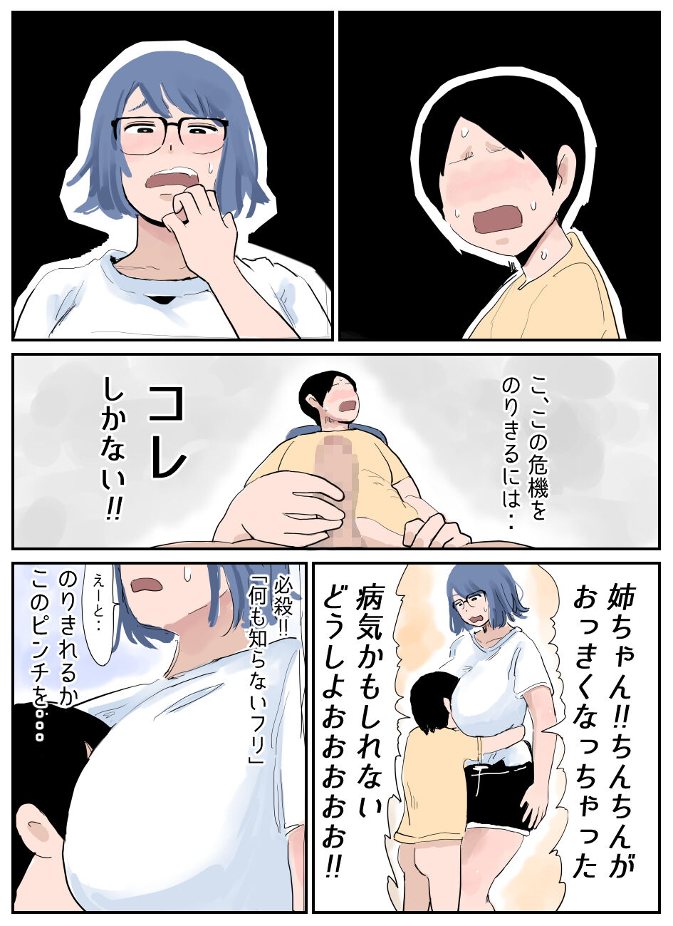 Boku ni wa Ane ga Imasu ~Majime Choujo to Jijo Yankee~ page 3 full