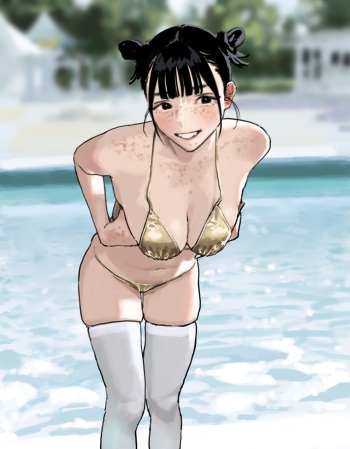 ●PIXIV● Hiramedoūsa cover