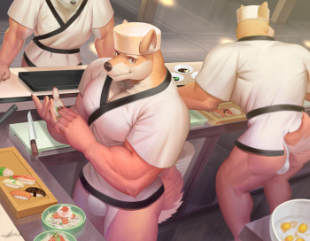 Sushi cover