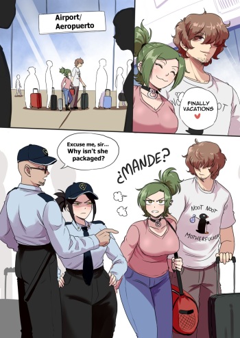 Minicomic - Flight Baggage cover