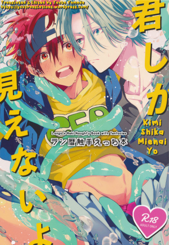 Kimi Shika Mienai Yo cover