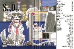 Stray Dogs