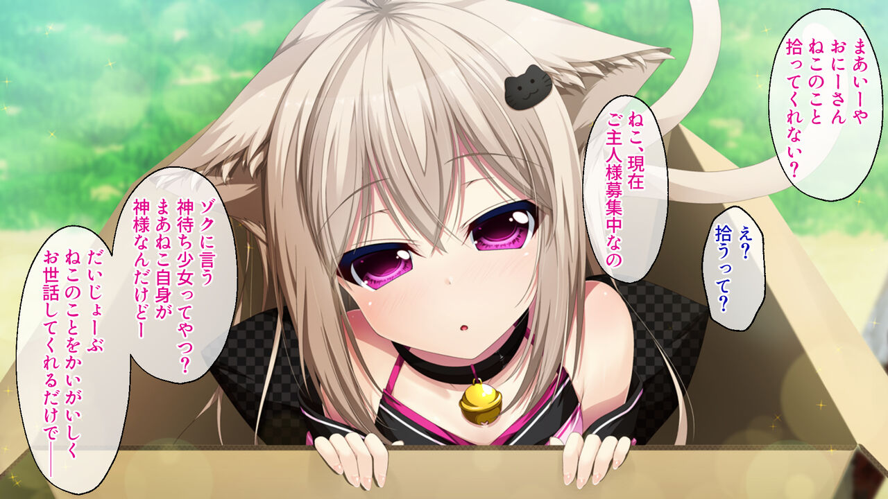 Neko Kamisama no Kekkon ~Inaka de Nyan Nyan Sakusei Life~ page 5 full
