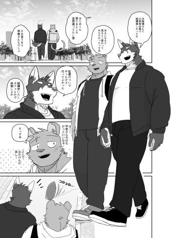 フリスビー cover