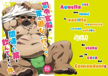 Shirei-kan-dono no Ie ni Asobi ni Ittara Machigatta Kusuri o Nonde Shimatta ken. | Aquella vez que tomé la medicina incorrecta cuando estaba de visita en la casa del Comandante. cover