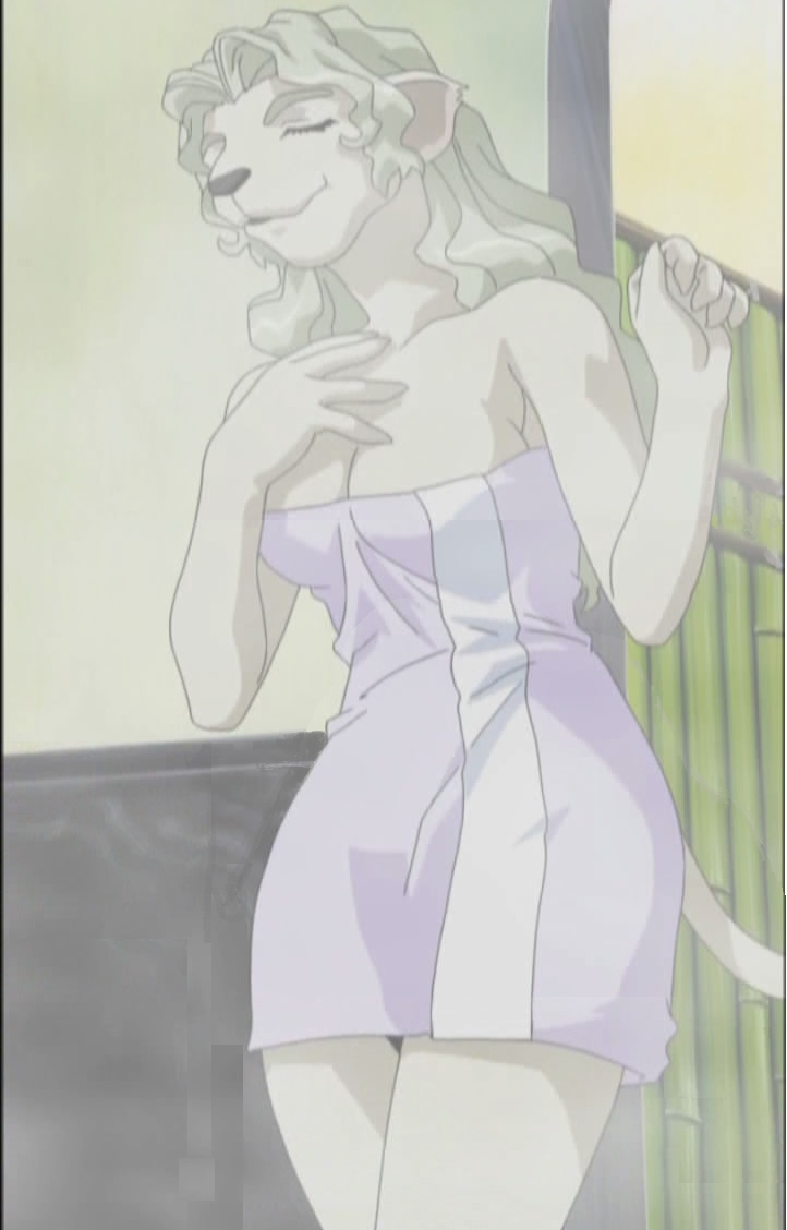 Tenchi Muyo Collection page 8 full