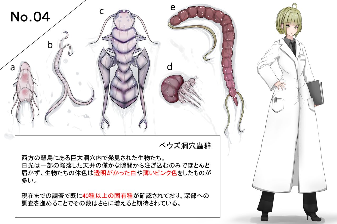 Insect research report No.04 page 1 full