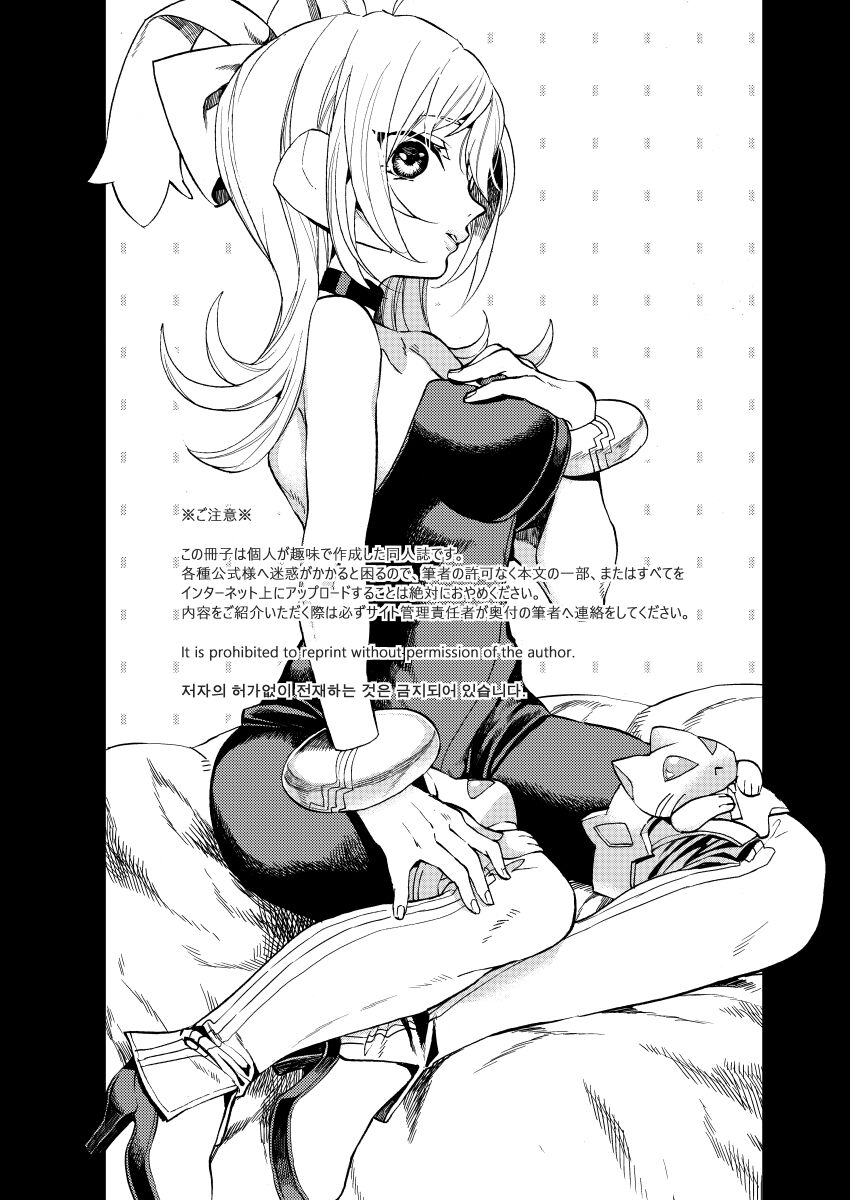 Bunny Manual page 2 full