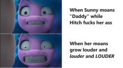 Sunnyhitch