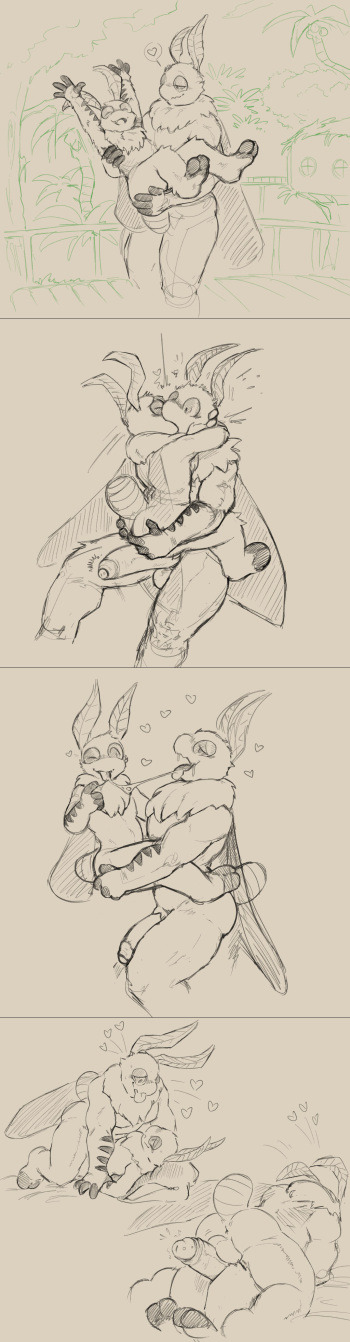 Moths cover