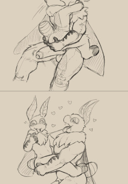 Moths