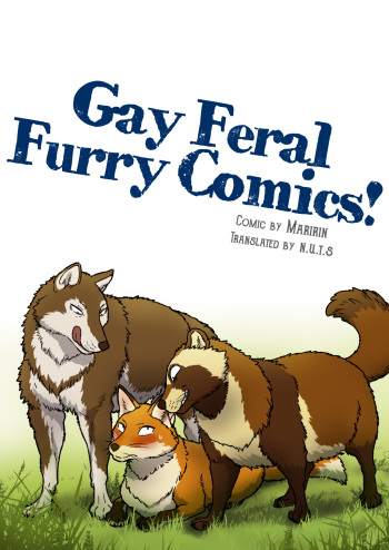 Outfoxed! 1&amp;2 cover