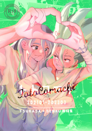 TsukasaSen Sairokushuu TotoComachi cover
