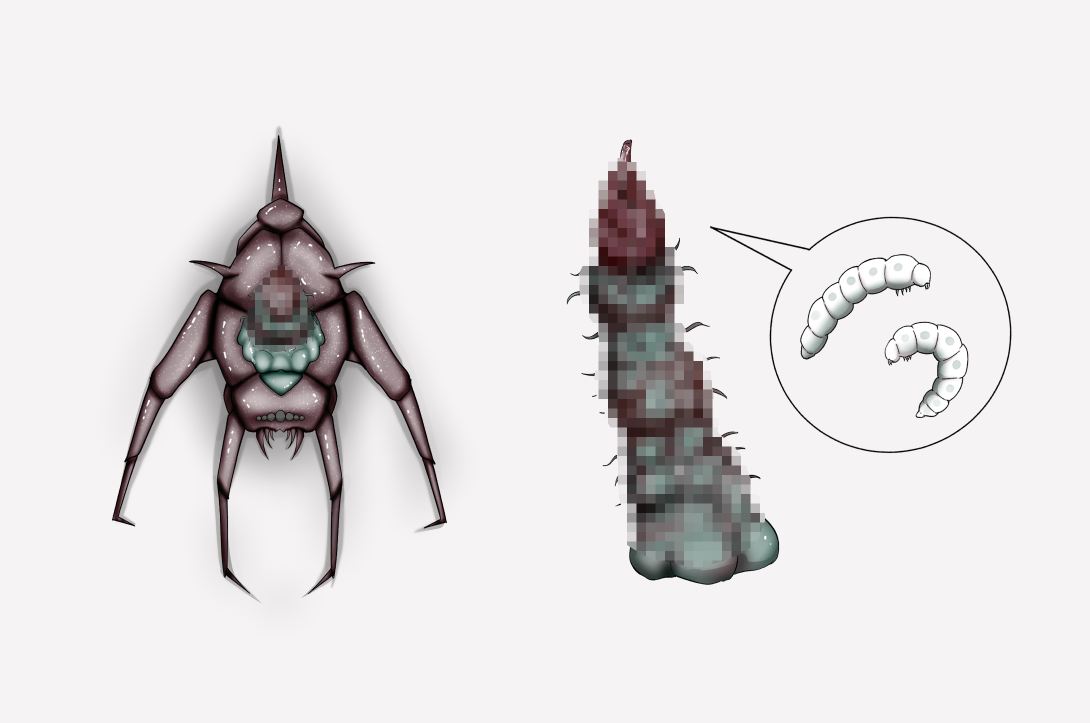 Insect research report No.05 page 7 full