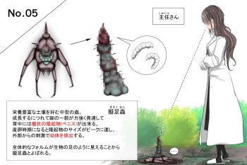 Insect research report No.05 cover