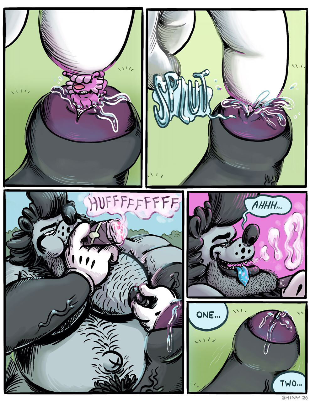 Shiny &amp; Ikky page 5 full