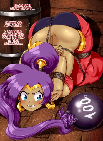 Shantae And The Pirate's Spank cover