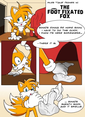 The Foot Fixated Fox cover