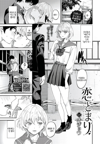 Koidomari cover