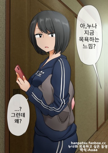 Ane to Furo ni Hairitai Otouto cover