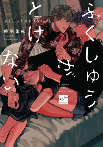 Fukushuu ga Tokenai cover