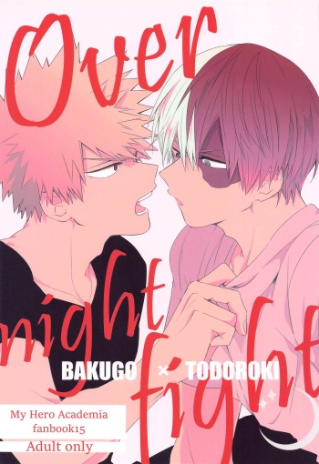 Overnight Fight cover
