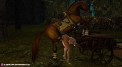 Dog and Horse 2
