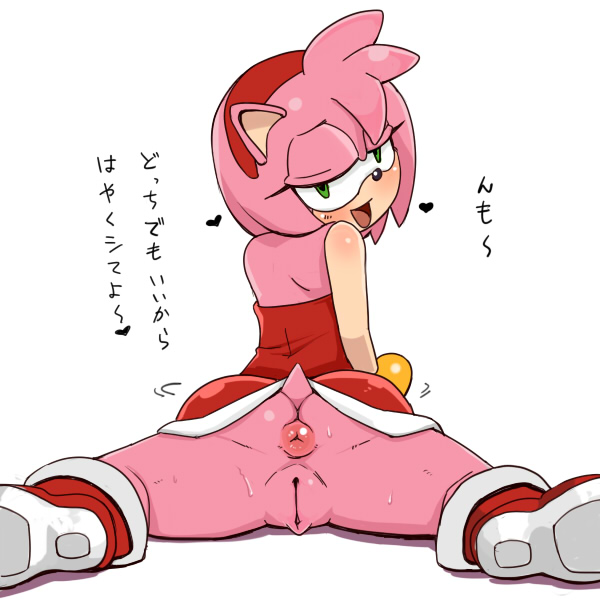 Furry - Amy Rose Collection page 2 full