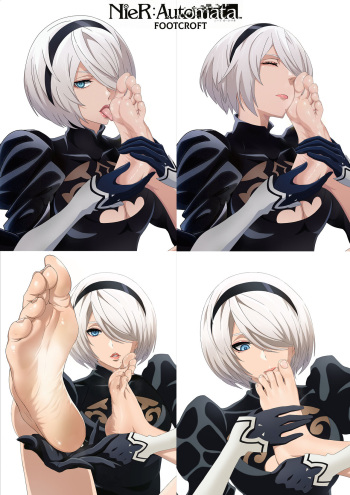 2B cover