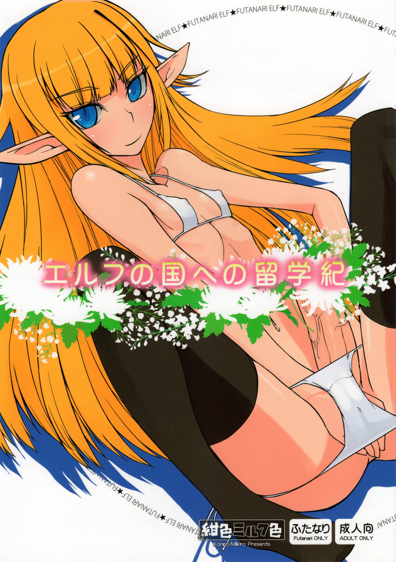 エルフの国への留学紀 page 1 full