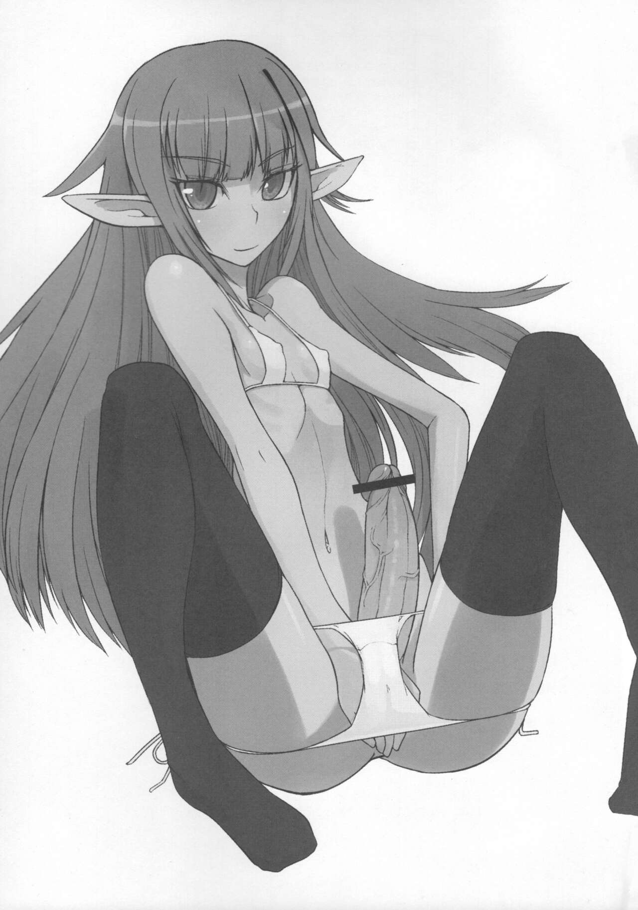 エルフの国への留学紀 page 2 full