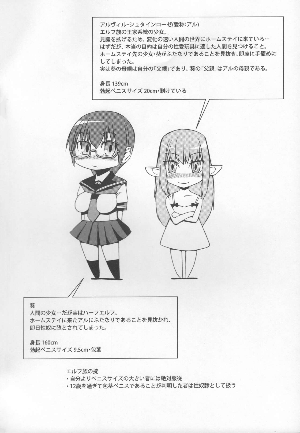 エルフの国への留学紀 page 3 full