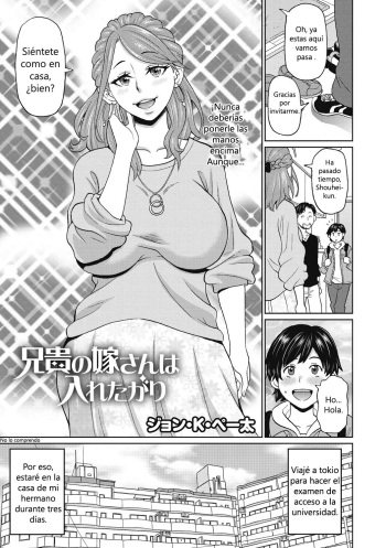 Aniki no Yome-san wa Iretagari cover
