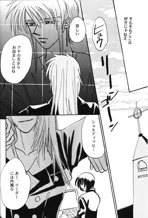 AYA-schandung  incomplete page 2 full