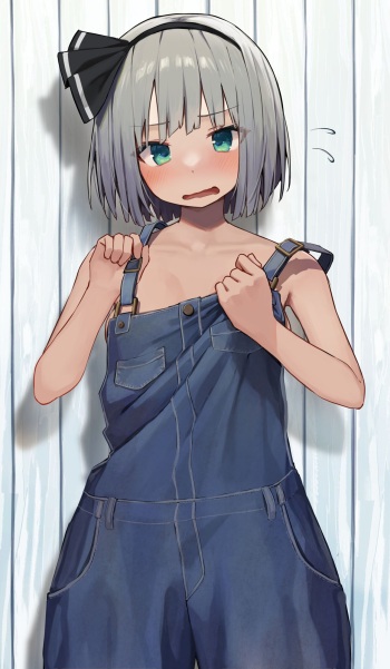 妖夢ちゃんに裸パーカーになってもらった⇒脱がせた cover