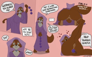 Maid Marian cover