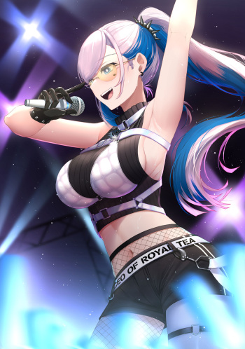 Reine new ponytail cover