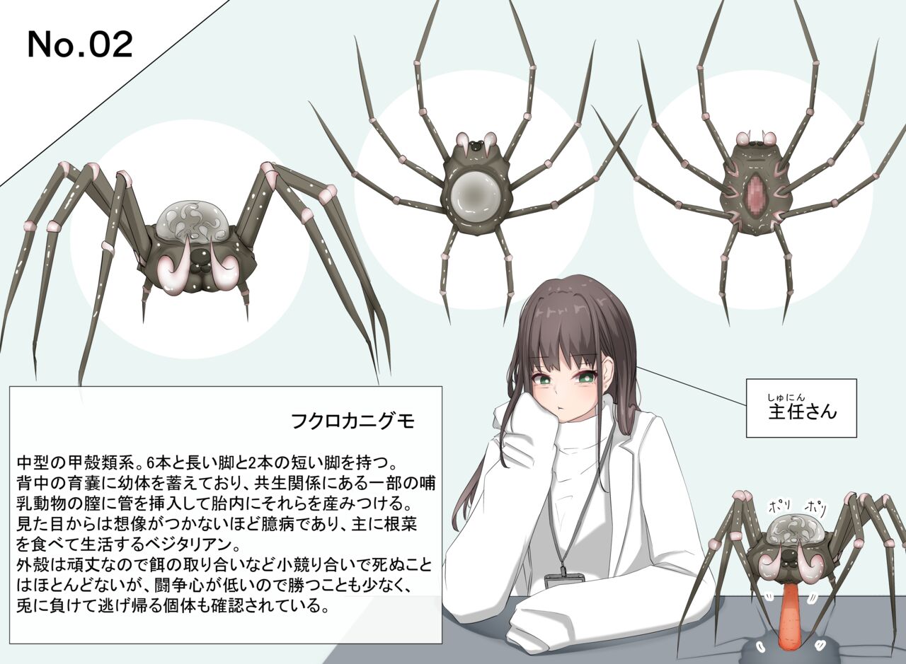 Insect research report No.02 page 1 full