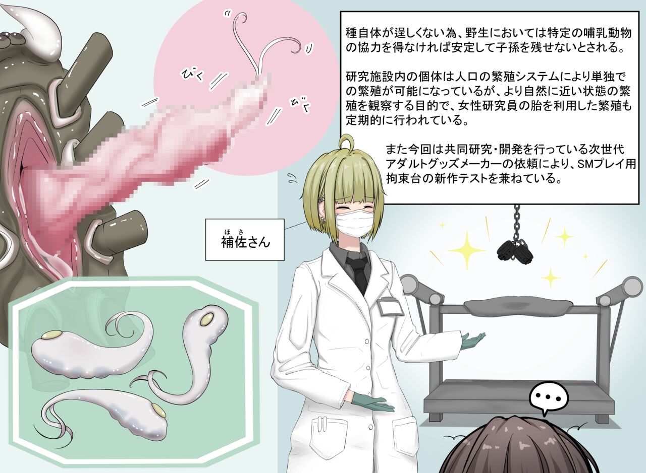 Insect research report No.02 page 2 full