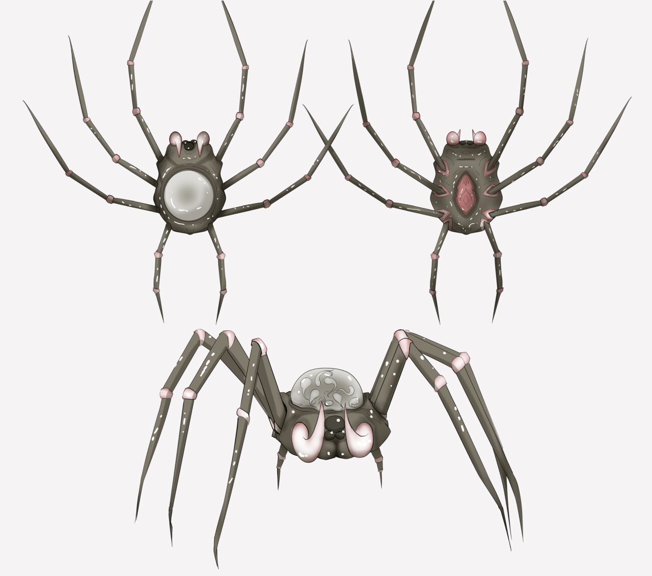 Insect research report No.02 page 6 full
