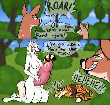 D.Doe and Sarafe cover