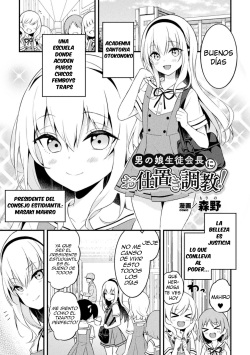 Otokonoko Seitokaichou ni Oshioki Choukyou! | Castigo al presidente del consejo estudiantil!