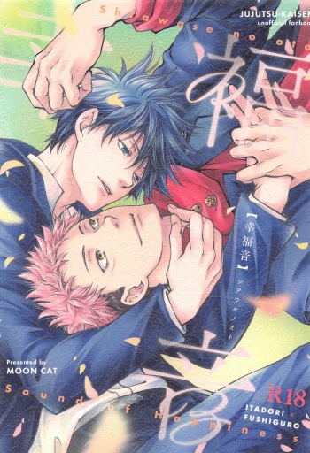 Shiawase no Oto - Sound of Happiness cover